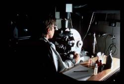 histology microscope