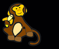 histology monkey