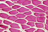 Filename=440005.jpg
Filesize=545KiB
Dimensions=768x512
Date added=Sep 23, 2007 440005.jpg