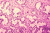 Filename=440039.jpg
Filesize=697KiB
Dimensions=768x512
Date added=Sep 24, 2007 440039.jpg