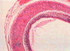 Filename=50883.jpg
Filesize=25KiB
Dimensions=317x234
Date added=Jan 24, 2008 50883.jpg