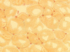 Filename=AlkalinePhosphatase.gif
Filesize=13KiB
Dimensions=150x111
Date added=Sep 07, 2007 AlkalinePhosphatase.gif