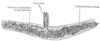 Filename=Gray937.png
Filesize=20KiB
Dimensions=600x247
Date added=Sep 04, 2007 Gray937.png