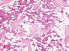 Filename=bone7.jpg
Filesize=356KiB
Dimensions=1360x1024
Date added=May 01, 2007 bone7.jpg
