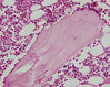 Filename=bone9.jpg
Filesize=287KiB
Dimensions=1110x882
Date added=May 01, 2007 bone9.jpg