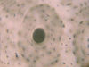 Filename=c12.jpg
Filesize=116KiB
Dimensions=640x480
Date added=Sep 27, 2007 c12.jpg