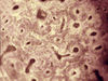 Filename=c13.jpg
Filesize=185KiB
Dimensions=639x480
Date added=Sep 27, 2007 c13.jpg