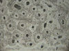 Filename=c14.jpg
Filesize=127KiB
Dimensions=640x480
Date added=Sep 27, 2007 c14.jpg