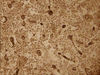 Filename=c4.jpg
Filesize=269KiB
Dimensions=639x480
Date added=Sep 27, 2007 c4.jpg
