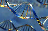 Filename=ch1_dna.jpg
Filesize=44KiB
Dimensions=250x162
Date added=Oct 01, 2007 ch1_dna.jpg