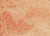 Filename=congored.jpg
Filesize=21KiB
Dimensions=150x110
Date added=Sep 07, 2007 congored.jpg