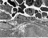 Filename=kneecap_interface_80004-2_6.jpg
Filesize=675KiB
Dimensions=1560x1246
Date added=Aug 04, 2007 kneecap_interface_80004-2_6.jpg