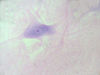 Filename=n11.jpg
Filesize=152KiB
Dimensions=640x480
Date added=Sep 30, 2007 n11.jpg