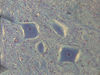 Filename=n14.jpg
Filesize=235KiB
Dimensions=639x480
Date added=Sep 30, 2007 n14.jpg