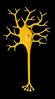 neuron_architecture2.jpg