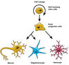 neuron_diff1.jpg