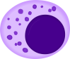 Nautral_killer_cell_28Large_granular_lymphocyte29_svg.png